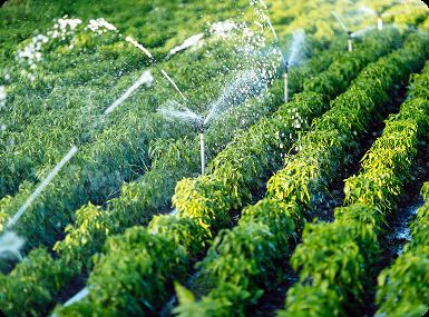 Solutions Water