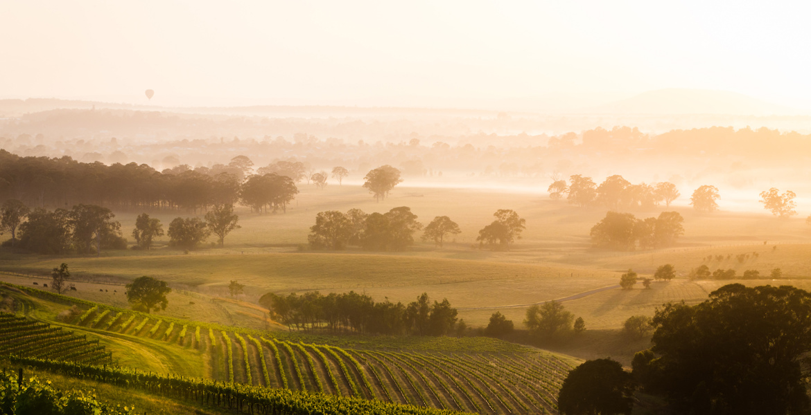 Hunter Valley Scenic Shot